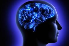 Το... κύκλωμα που μας βάζει για ύπνο