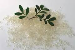 Φυσικό και πανίσχυρο φάρμακο η μαστίχα Χίου