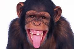 Αυτά μόνο στον ΑΡΗ γίνονται...!!!