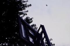 Σοκαριστικό: Ανήλικος κατέγραψε UFO; [video]