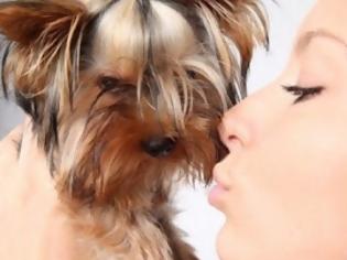 Φωτογραφία για Φιλάς κι εσύ τον σκύλο σου; Και πολύ καλά κάνεις - Δες που σε ωφελεί...