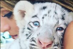 ΤΟ ΠΑΝΕΜΟΡΦΟ... ΤΙΓΡΑΚΙ ΤΗΣ ΜΑΡΤΑ! (PHOTOS)