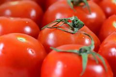 Οι 11 τροφές που… σμιλεύουν το σώμα