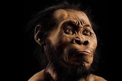Βρέθηκε νέο είδος ανθρώπων: Ο Homo Νaledi αλλάζει την ιστορία!