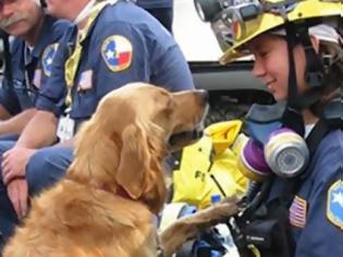 Φωτογραφία για Μια άγνωστη ηρωίδα της 11ης Σεπτεμβρίου! Η σκυλίτσα - διασώστης