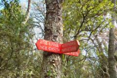 7068 - Ανεμόδαρτα καλύβια