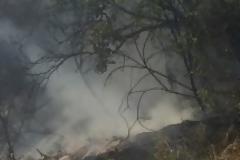 Απέτράπη εκδήλωση πυρκαγιάς, λίγο έξω από το Άστρος [video]