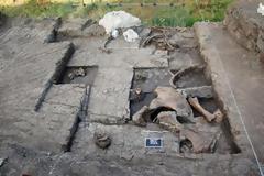 Ευρήματα που χρονολογούνται από την Κατώτερη Παλαιολιθική Περίοδο εντοπίστηκαν στη Μεγαλόπολη