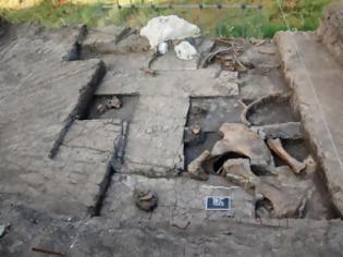 Φωτογραφία για Ευρήματα που χρονολογούνται από την Κατώτερη Παλαιολιθική Περίοδο εντοπίστηκαν στη Μεγαλόπολη