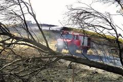 Πάτρα-Τώρα: Πυρκαγιά στην Εγλυκάδα