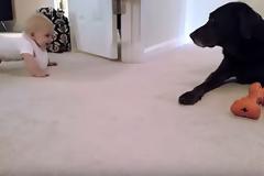 Αυτή η μικρούλα ετοιμάζεται να μπουσουλίσει για πρώτη φορά - Δείτε όμως την αντίδραση του σκύλου... [video]