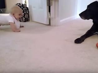 Φωτογραφία για Αυτή η μικρούλα ετοιμάζεται να μπουσουλίσει για πρώτη φορά - Δείτε όμως την αντίδραση του σκύλου... [video]