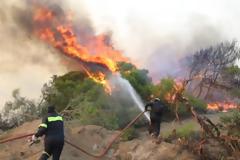Ηλεία: Φωτιά έκανε στάχτη 100 στρέμματα και 30 πρόβατα στην Αρετή Λεχαινών
