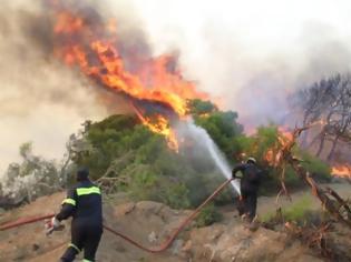 Φωτογραφία για Ηλεία: Φωτιά έκανε στάχτη 100 στρέμματα και 30 πρόβατα στην Αρετή Λεχαινών