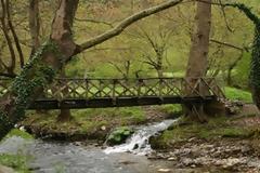 ΥΠΑΠΕΝ και Μουσείο Γουλανδρή μαζί για τα δάση