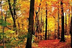 Eκδρομή στην όμορφη Βυτίνα