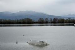 ΕΕ: 16,3 εκατ. ευρώ σε Ελλάδα και Βουλγαρία για τις πλημμύρες