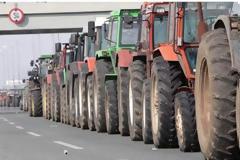 Κινητοποιήσεις ανήμερα των εκλογών αποφάσισαν αγρότες και κτηνοτρόφοι