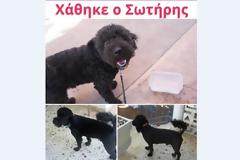 Ας βοηθήσουμε όλοι να βρεθεί ο Σωτηράκης... [photo]