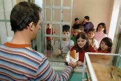 Αυτά τα τρόφιμα επιτρέπεται να πωλούνται στα κυλικεία των σχολείων