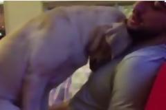 Εχει τρελάνει το διαδίκτυο - Ο σκύλος που ικετεύει το αφεντικό του να τον συγχωρέσει [video]