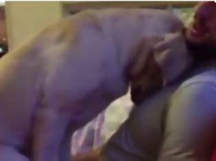 Φωτογραφία για Εχει τρελάνει το διαδίκτυο - Ο σκύλος που ικετεύει το αφεντικό του να τον συγχωρέσει [video]