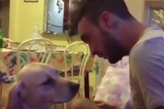 Ο σκύλος που ικετεύει το αφεντικό του να τον συγχωρέσει! - Δείτε το τρυφερό βίντεο