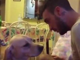 Φωτογραφία για Ο σκύλος που ικετεύει το αφεντικό του να τον συγχωρέσει! - Δείτε το τρυφερό βίντεο