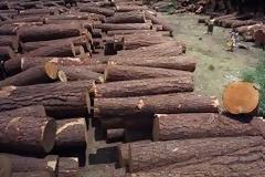 Σοβαρή καταγγελία κατοίκων Κόνιτσας...