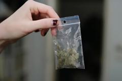 Από αεροπλάνα ρίχνουν αλβανικό χασίς σε... πελάτες στην Ευρώπη!