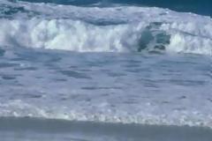 Ισχυρισμοί για περίεργο θαλάσσιο ον στο Λαμπίρι που έχει αναστατώσει τους λουόμενους