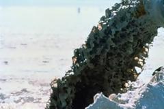 Κύπρος: Παράνομη απόρριψη υγρών βιομηχανικών αποβλήτων σε οχετούς στην Αραδίππου