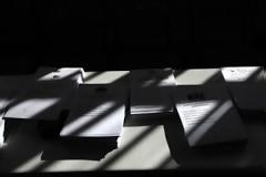 Όλα όσα πρέπει να ξέρετε πριν πάτε στις κάλπες