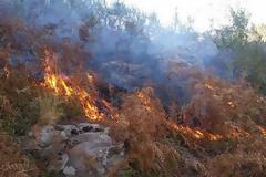 Έδωσαν μάχη οι Πυροσβέστες στο όρος Κούλα στην Ξάνθη