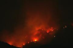 Ηλεία: Φωτιά σε δασική έκταση - Επί τόπου μεγάλη δύναμη της Πυροσβεστικής