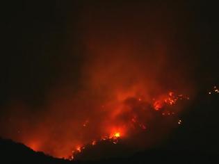 Φωτογραφία για Ηλεία: Φωτιά σε δασική έκταση - Επί τόπου μεγάλη δύναμη της Πυροσβεστικής