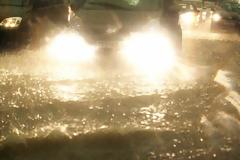 Ισχυρή βροχόπτωση στην Πάτρα - Έπεσαν δέντρα στην Ηρώων Πολυτεχνείου- Στο 