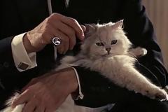 Τι συμβαίνει όταν τα ζώα κληρονομούν περιουσίες;