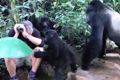 Βγάζει φωτογραφίες από το δάσος - Είχε όμως μια αναπάντεχη συνάντηση... [video]