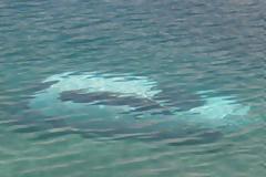 Πάτρα: Ανείπωτη τραγωδία! - Υγρός τάφος για τρία νεαρά άτομα το παλιό λιμάνι