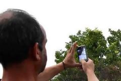 Έκλεισε ο επαρχιακός δρόμος Ναυπλίου - Επιδαύρου από πτώση κυπαρισσιού [photos]