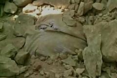 Κι όμως συνέβη: Έστρωσαν δρόμο πάνω από μεθυσμένο άνδρα!