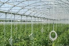 Τον βρήκε νεκρό ο γιος του μέσα στο θερμοκήπιο