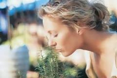 Μειώστε το στρες με την ηρεμιστική δράση της φύσης...