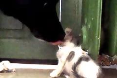 Αυτό είναι ένα απο τα πιο συγκινητικά βίντεο που κυκλοφορούν στο διαδίκτυο! [video]