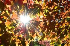 Δυτική Ελλάδα: Πώς θα μας αποχαιρετίσει ...καιρικά ο Σεπτέμβριος;