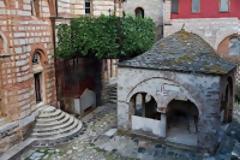 7123 - Σήμερα η συλλογή σταφυλιών από το αιωνόβιο κλήμα του τάφου του Αγίου Συμεών