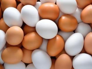 Φωτογραφία για Εσύ το ήξερες; Ποια είναι η διαφορά ανάμεσα στα καφέ και τα άσπρα αυγά;