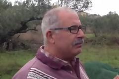 ΑΠΙΣΤΕΥΤΟ! Η Πατέντα που κάνει το μάζεμα των ελιών παιχνίδι [video]