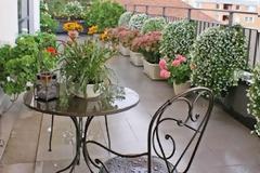 Πώς να μετατρέψεις το μπαλκόνι σου σε μποστάνι